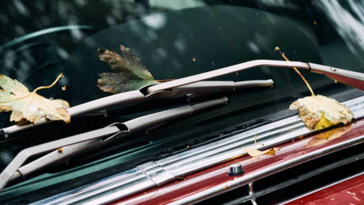 Maintaining Windshield Wipers